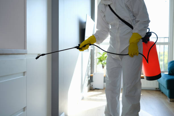 Jackson, WY Mold Removal Company